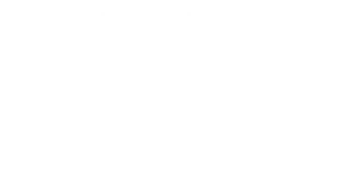 CIVICA - The European University of Social Siences